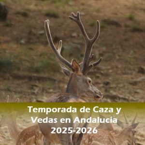 Lee más sobre el artículo Temporada de Caza y Vedas en Andalucía 2025-2026