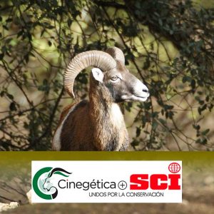 Lee más sobre el artículo Cinegética + SCI: la gran feria de la caza en España y punto de encuentro para los amantes del campo